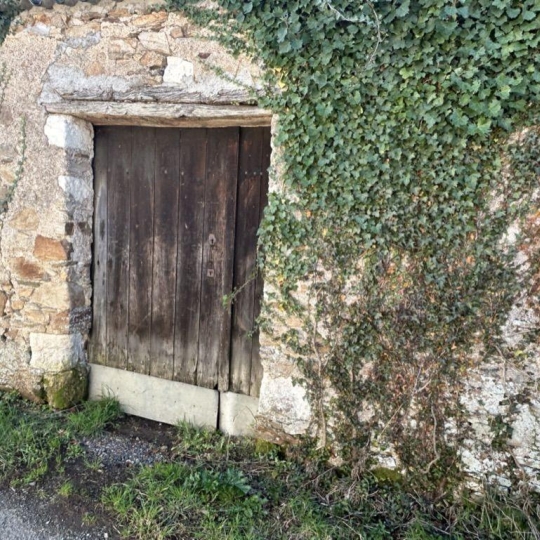  Annonces LOROUX : Maison / Villa | LE LOROUX-BOTTEREAU (44430) | 195 m2 | 75 000 € 