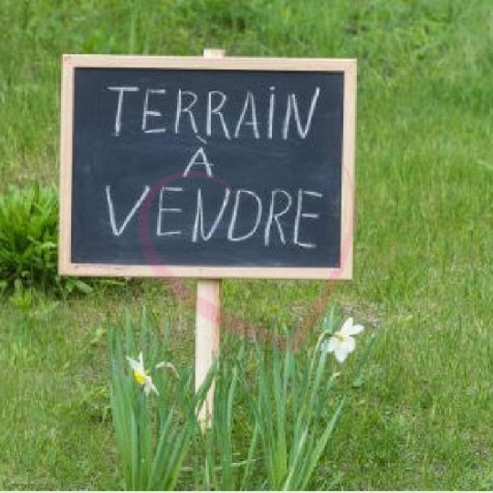 Annonces LOROUX : Terrain | VALLET (44330) | 150.00m2 | 55 000 € 