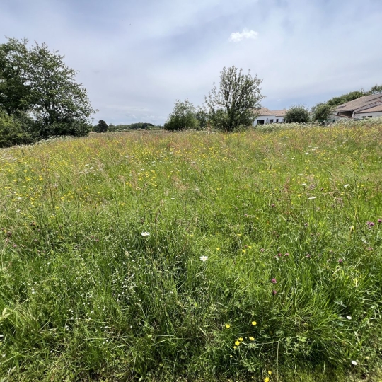 Annonces LOROUX : Ground | VERTOU (44120) | 4000.00m2 | 750 000 € 