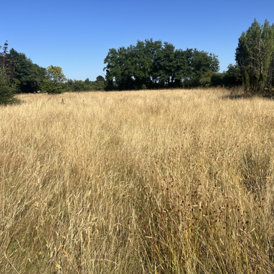  Annonces LOROUX : Domaines / Propriétés | VERTOU (44120) | 200 m2 | 563 750 € 