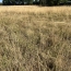  Annonces LOROUX : Terrain | CHATEAU-THEBAUD (44690) | 0 m2 | 93 900 € 