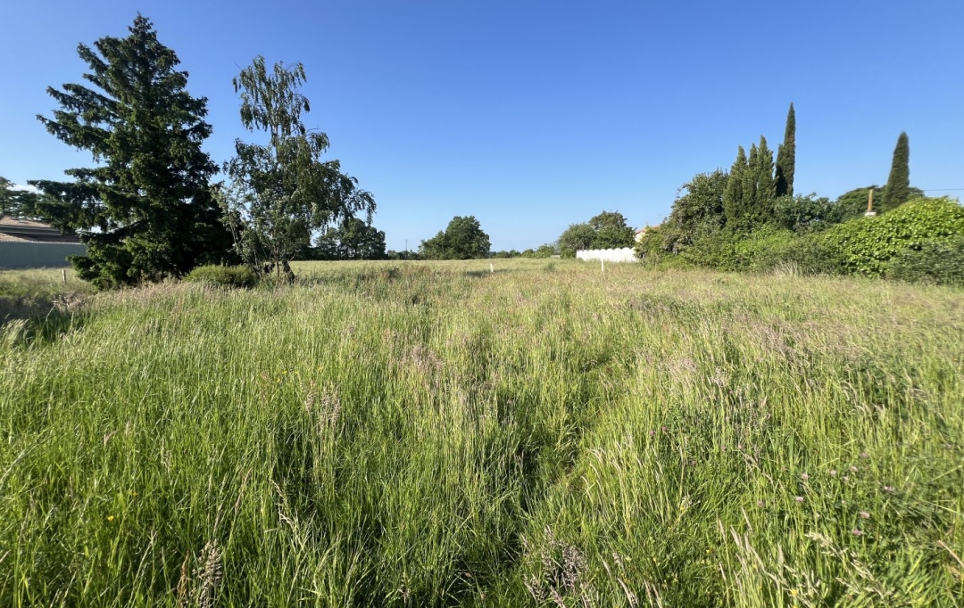 Annonces LOROUX : Terrain | CHATEAU-THEBAUD (44690) | 0 m2 | 95 000 € 