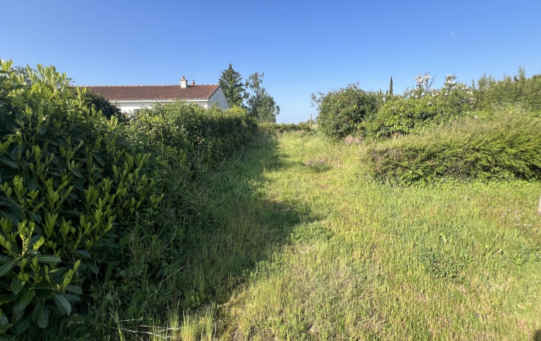 Annonces LOROUX : Terrain | CHATEAU-THEBAUD (44690) | 0 m2 | 95 000 € 