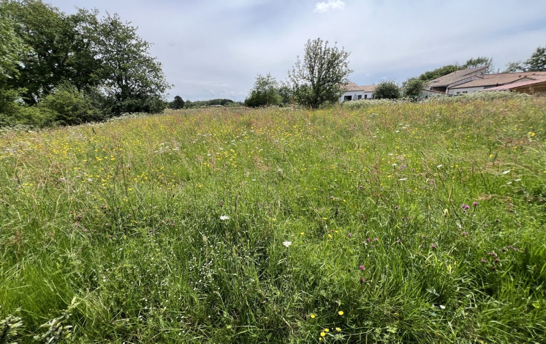 Annonces LOROUX : Terrain | VERTOU (44120) | 4 000 m2 | 750 000 € 