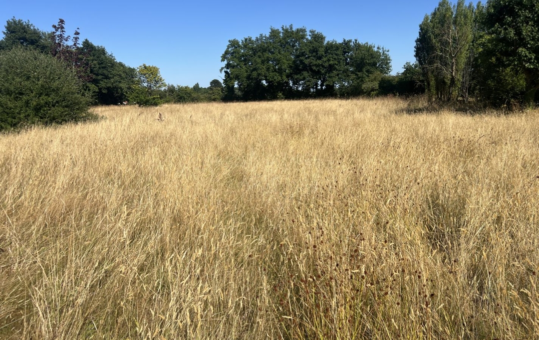 Annonces LOROUX : Domaines / Propriétés | VERTOU (44120) | 200 m2 | 563 750 € 