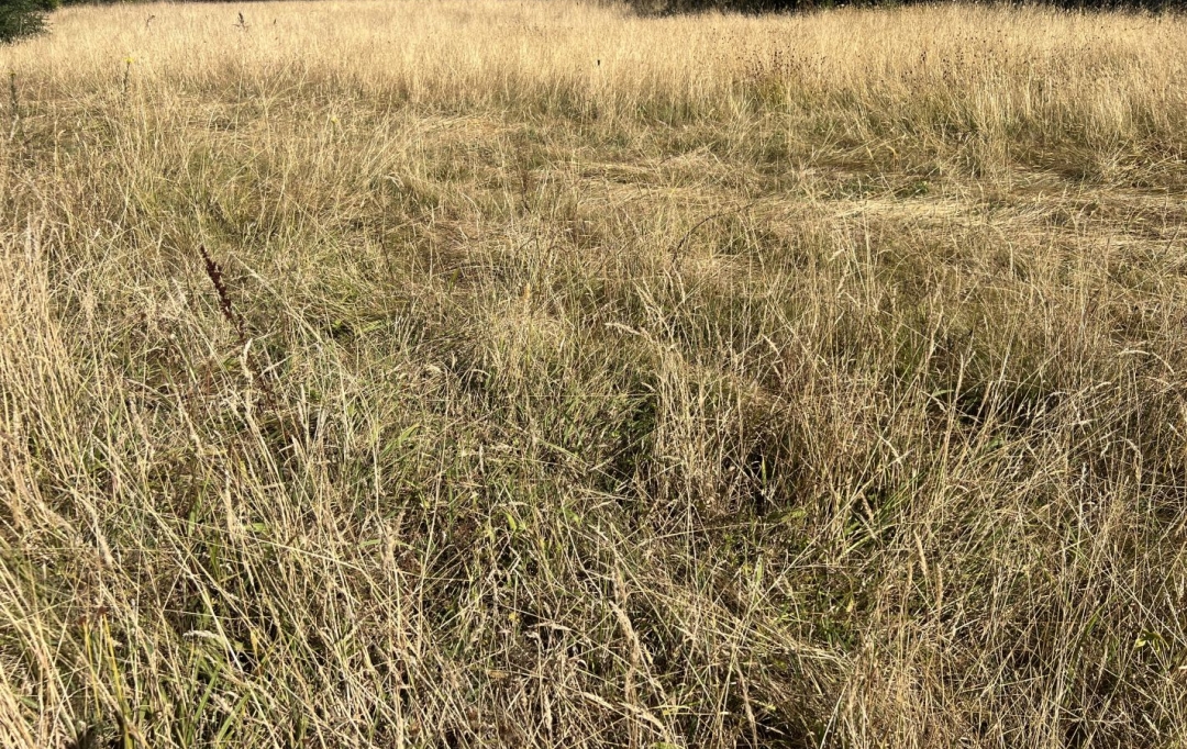 Annonces LOROUX : Terrain | CHATEAU-THEBAUD (44690) | 0 m2 | 93 900 € 