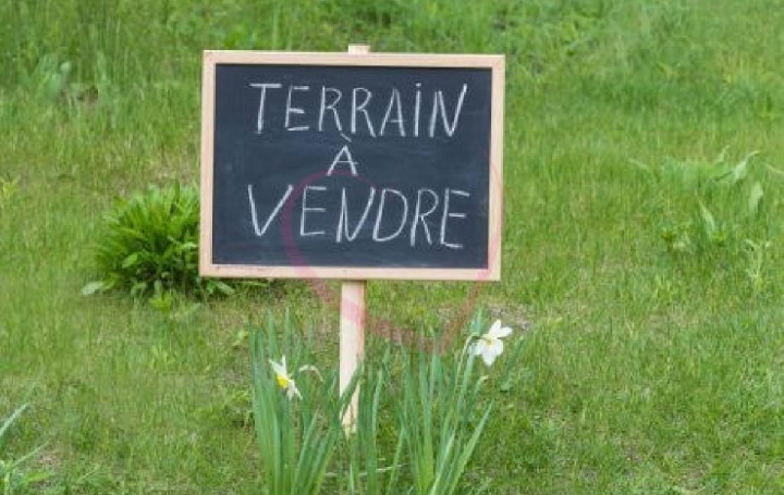  Annonces LOROUX Terrain | VALLET (44330) | 150 m2 | 55 000 € 